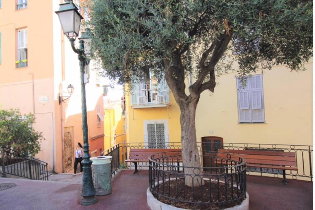 Charming Apartment Near The Beach Villefranche-sur-Mer Bagian luar foto